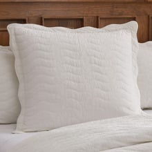 Ivory Indiana Cotton European Pillowcase